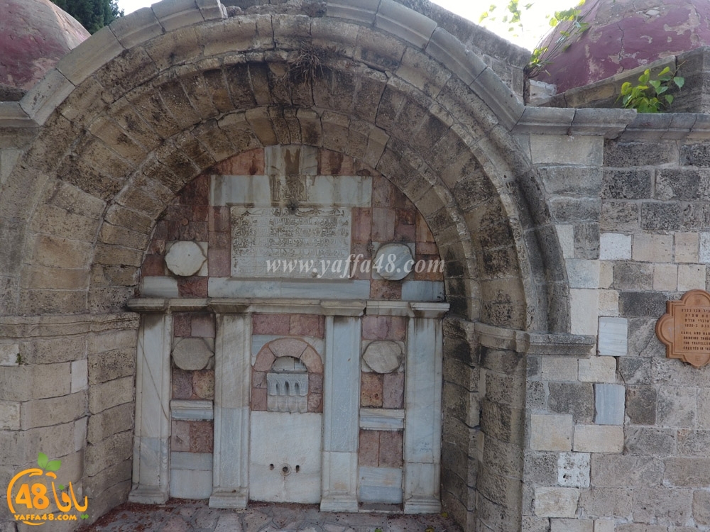 abo nabootje (5).jpg